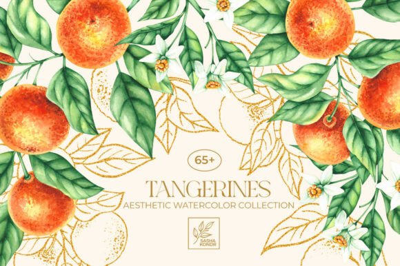 Tangerines Watercolor Collection