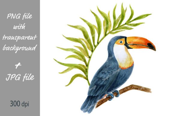 Tropical Toucan Bird PNG & JPG: Creative Design Possibilities