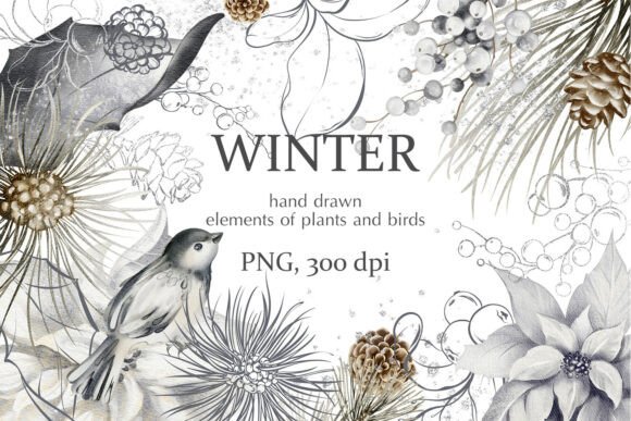 Winter Birds Botanical Clipart: Elevate Your Creative Projects with Natural Winter Aesthetics